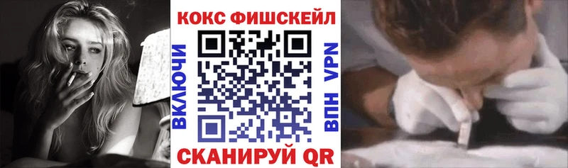 COCAIN Fish Scale  Купить закладки  Новопавловск 